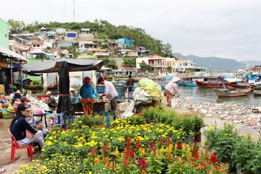 Sắc xuân trên hòn đảo 3.000 dân gần đất liền nhất ở Nha Trang