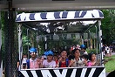 Hè này, con sẽ “tự lớn”!