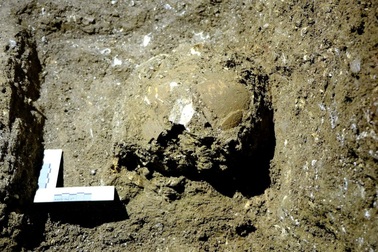 Phát hiện khảo cổ chấn động: Bộ xương "chiến binh Tràng An" 13.000 năm tuổi