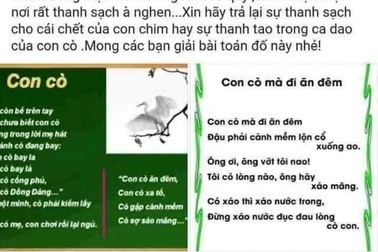 Xác minh tài khoản mạng xã hội mỉa mai nữ sinh nghi tự tử vì bị kỷ luật