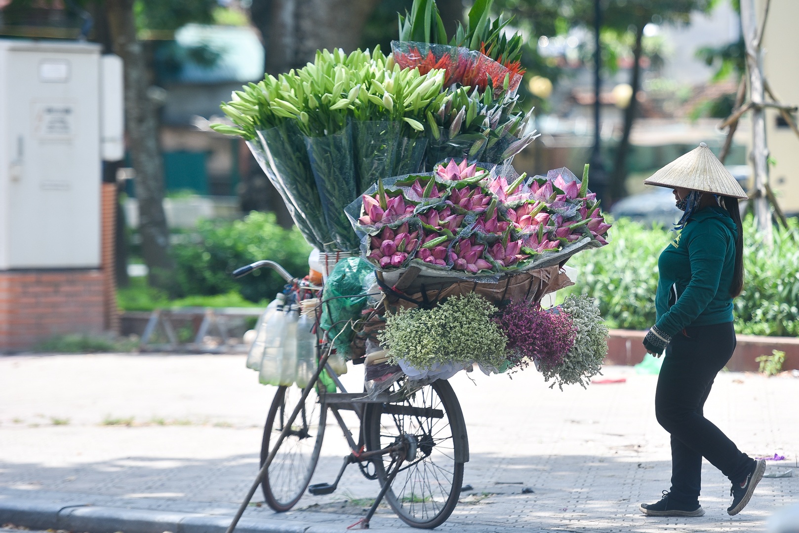 Hà Nội: Ngẩn ngơ với sắc sen đầu mùa xuống phố - 20 Hà Nội: Ngẩn ngơ với sắc sen đầu mùa xuống phố - 20