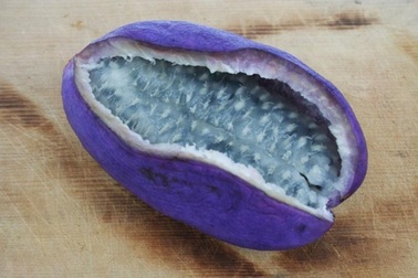 Nho Nhật 300 đồng/quả bé tí; gốc lan đột biến giá 17 tỷ đồng chấn động dân chơi