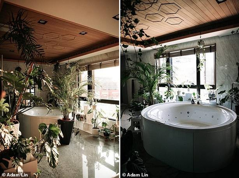 Không gian sống của người đàn ông sở hữu số cây trị giá hơn 1 tỷ đồng - 9 Không gian sống của người đàn ông sở hữu số cây trị giá hơn 1 tỷ đồng - 9