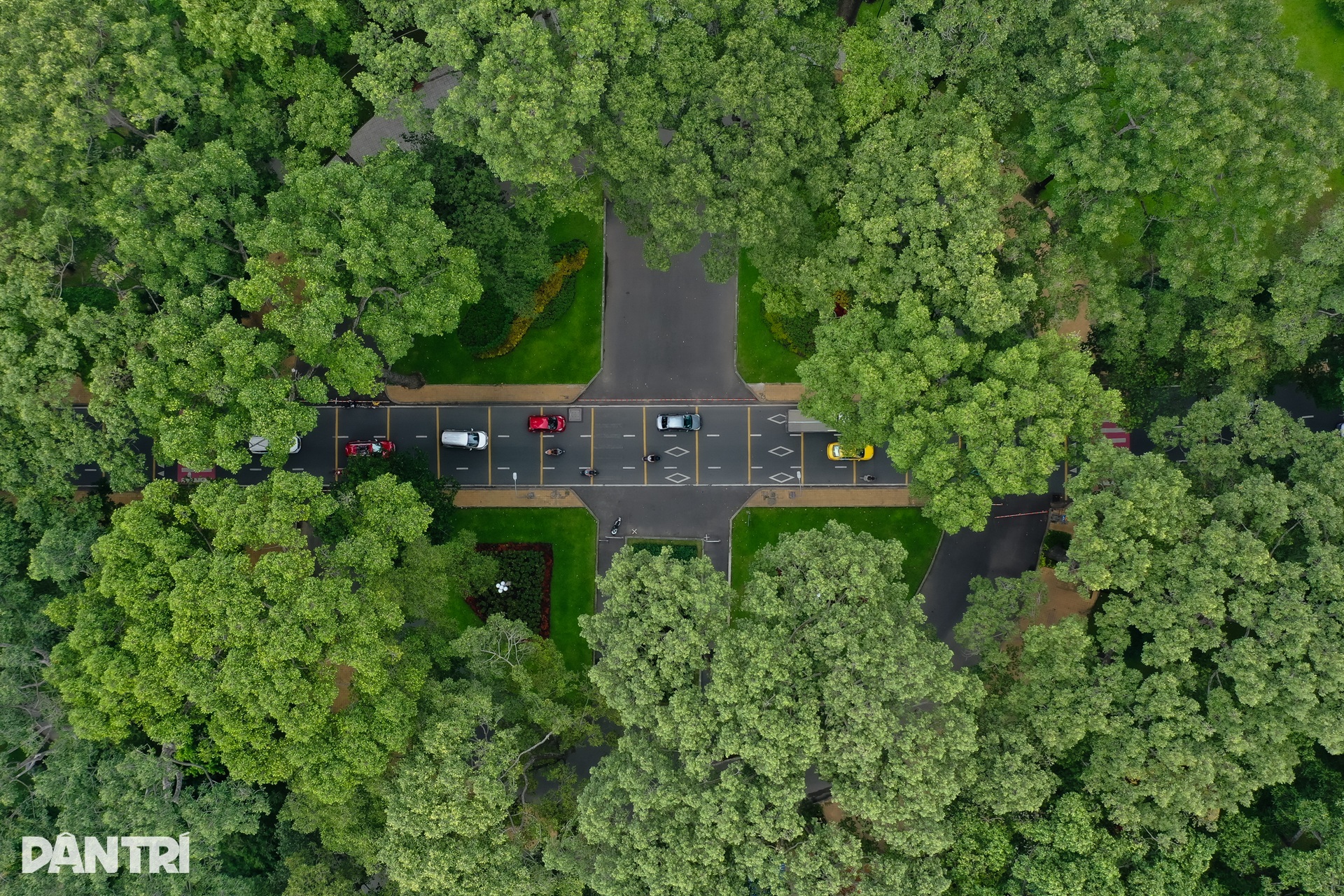 Công viên Tao Đàn nơi xảy ra vụ tai nạn làm 2 người chết có nhiều cổ thụ - 12