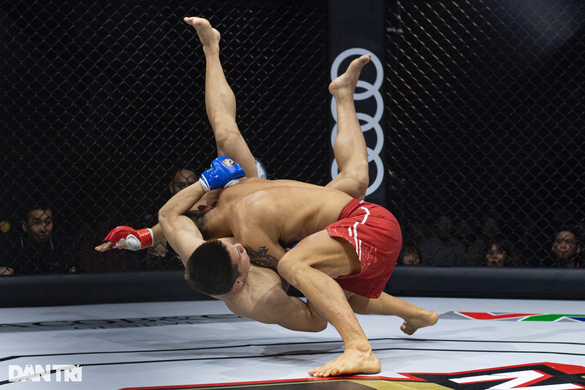 Khoảnh khắc Trần Quang Lộc hạ knock-out Lý Tiểu Long sau cú đấm liên hoàn - 6 Khoảnh khắc Trần Quang Lộc hạ knock-out Lý Tiểu Long sau cú đấm liên hoàn - 6