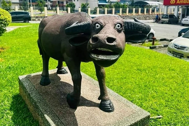 Sự thật phía sau bức tượng trâu có gương mặt biểu cảm "hốt hoảng, ngô nghê"