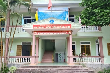 Bắt 4 cán bộ ban quản lý rừng phòng hộ nhận tiền của người đi hái măng