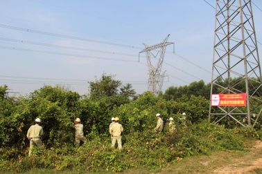 TTĐ Quảng Trị triển khai nhiều giải pháp đảm bảo vận hành an toàn lưới truyền tải điện