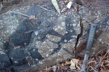 Hóa thạch 3,4 tỉ tuổi hé lộ chân dung của sinh vật ngoài hành tinh?