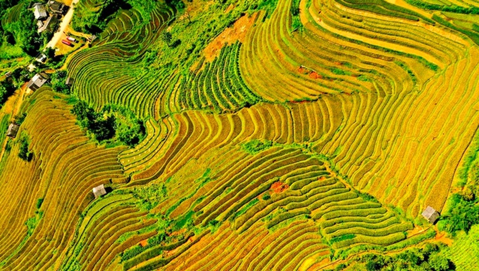 Du khách thích thú ngồi trực thăng ngắm ruộng bậc thang Mù Cang Chải - 4 Du khách thích thú ngồi trực thăng ngắm ruộng bậc thang Mù Cang Chải - 4
