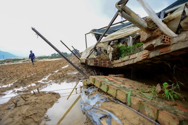Lũ lịch sử cuốn phăng “thủ phủ” rau Lâm Đồng, đồng ruộng hoang lạnh