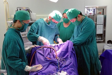 Cứu sống bé 35 ngày tuổi bị dao quắm "bập" xuyên đầu