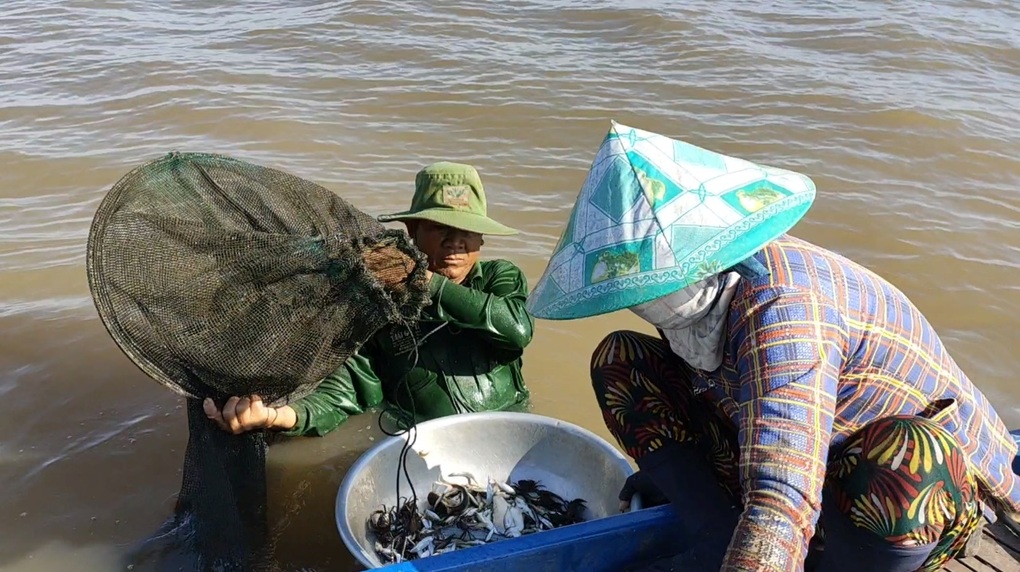 Lũ tràn đồng, người dân đầu nguồn nước vào mùa xúc lươn, bắt cá đồng - 3 Lũ tràn đồng, người dân đầu nguồn nước vào mùa xúc lươn, bắt cá đồng - 3