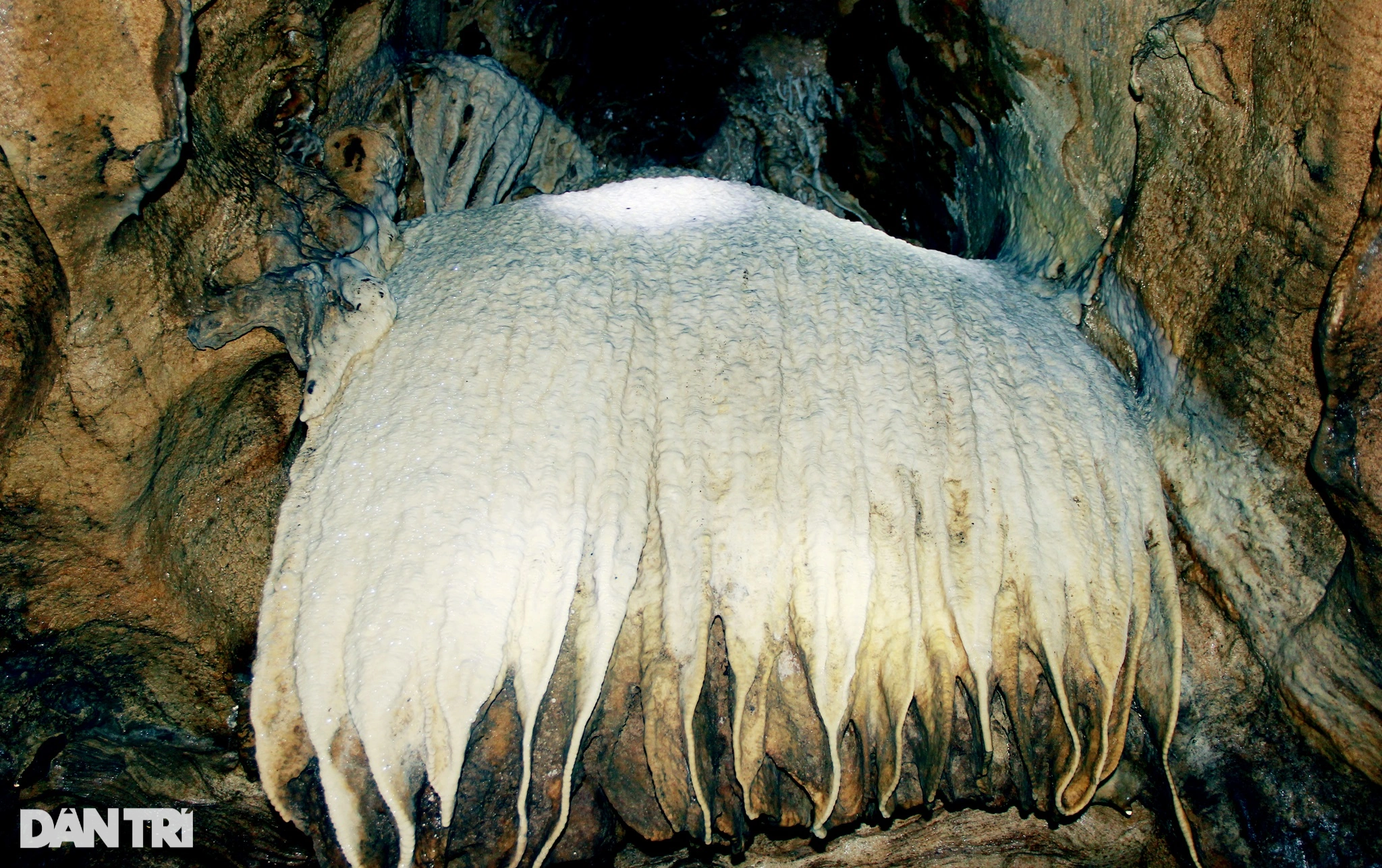 Khám phá hang động mới được phát hiện ở Thanh Hóa - 7