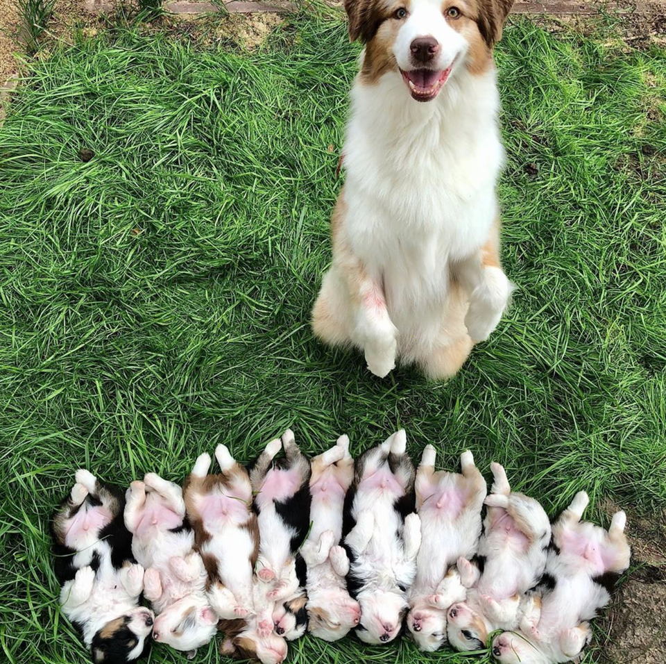 Không gì sánh bằng tình yêu của mẹ - 10