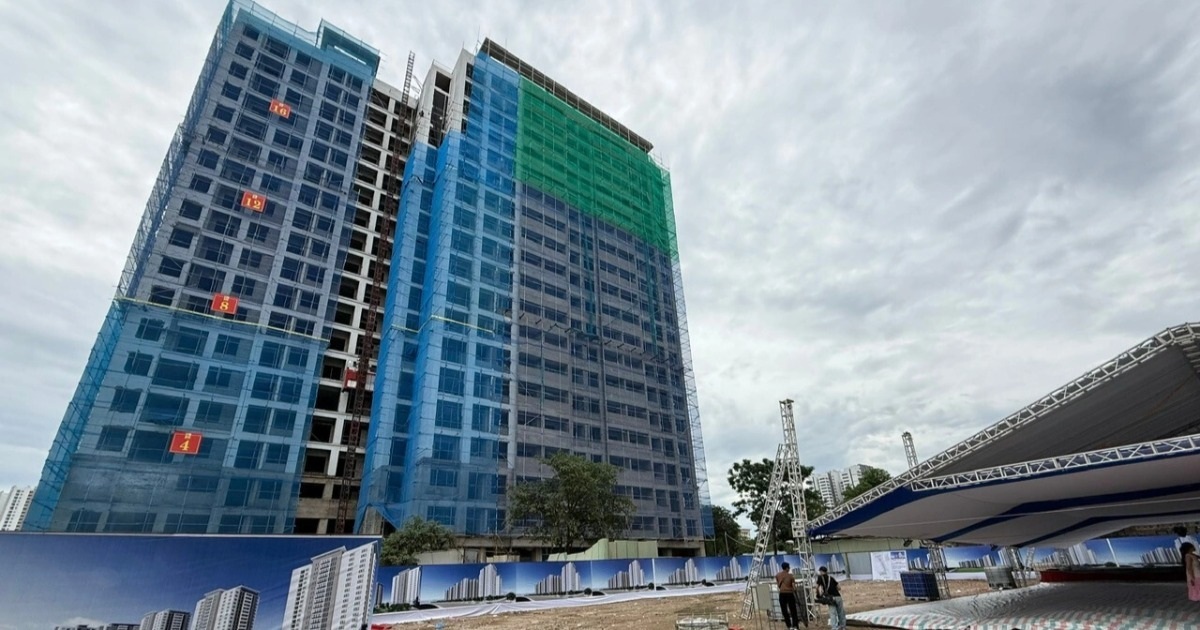 dantri.com.vn