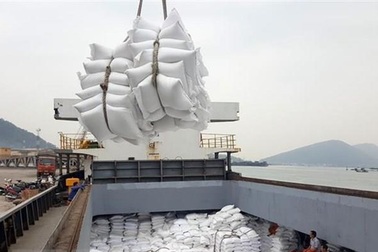 Tháng 5 sẽ đấu thầu mua lại 182.000 tấn gạo do doanh nghiệp "bùng" hợp đồng