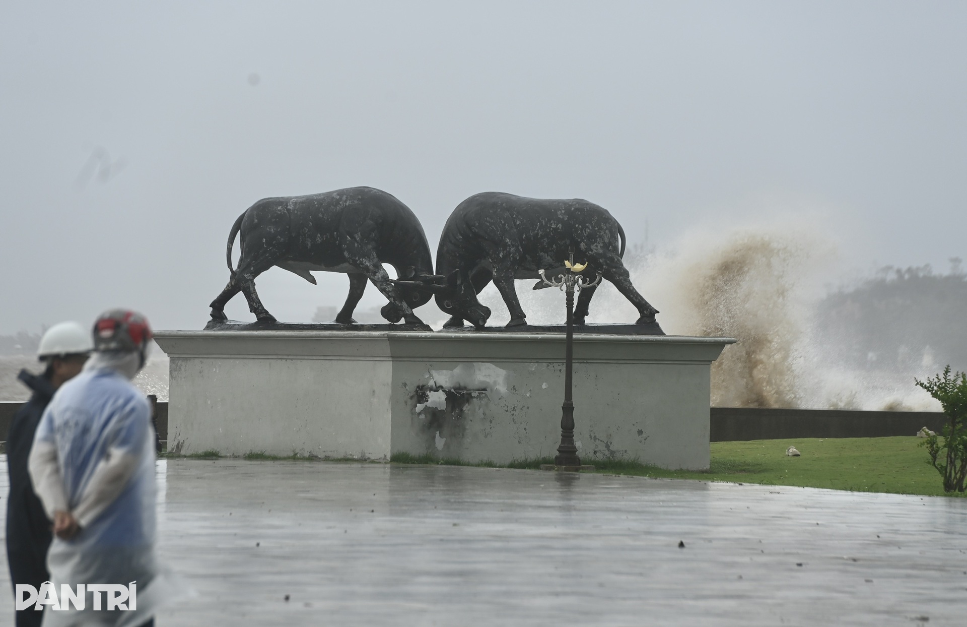 Trời đẹp, nhiều người Hải Phòng ra biển check-in bão bị yêu cầu quay xe - 8