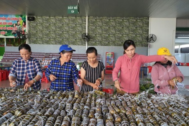 Bánh tét ấm tình người hướng về miền Trung