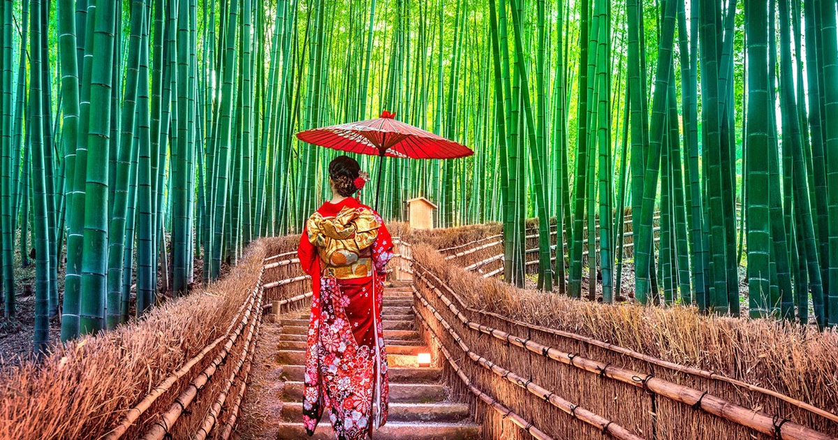 Lạc lối trong rừng tre Arashiyama - niềm tự hào của cố đô Kyoto | Báo Dân trí