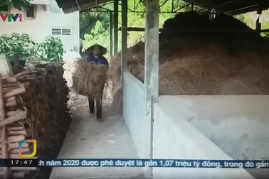 Rút bảo hiểm xã hội 1 lần - Lợi bất cập hại!