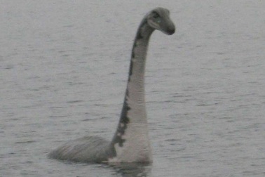 Phân tích DNA từ hồ Loch Ness để tìm “quái vật” huyền thoại