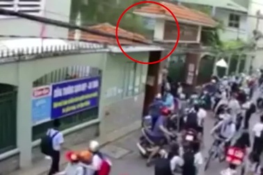 Cây phượng đổ đè 18 học sinh trong 5 giây