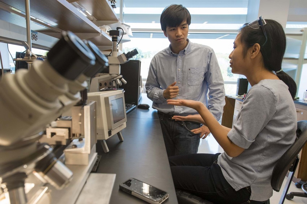 ベトナムの科学者が関節再生ジェルを発明、非外科的治療の道を開く - 1 Nhà khoa học Việt sáng chế gel tái tạo khớp, mở hướng điều trị không cần mổ - 1