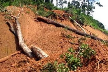 Sạt lở đất, 2 vợ chồng bị vùi chết