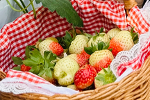 5 loại thực phẩm giúp cải thiện tâm trạng của bạn