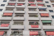 Cư dân nhiều chung cư buông bỏ chuyện đòi sổ hồng