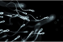 Lý do vì sao nam giới ngày càng ‘yếu’