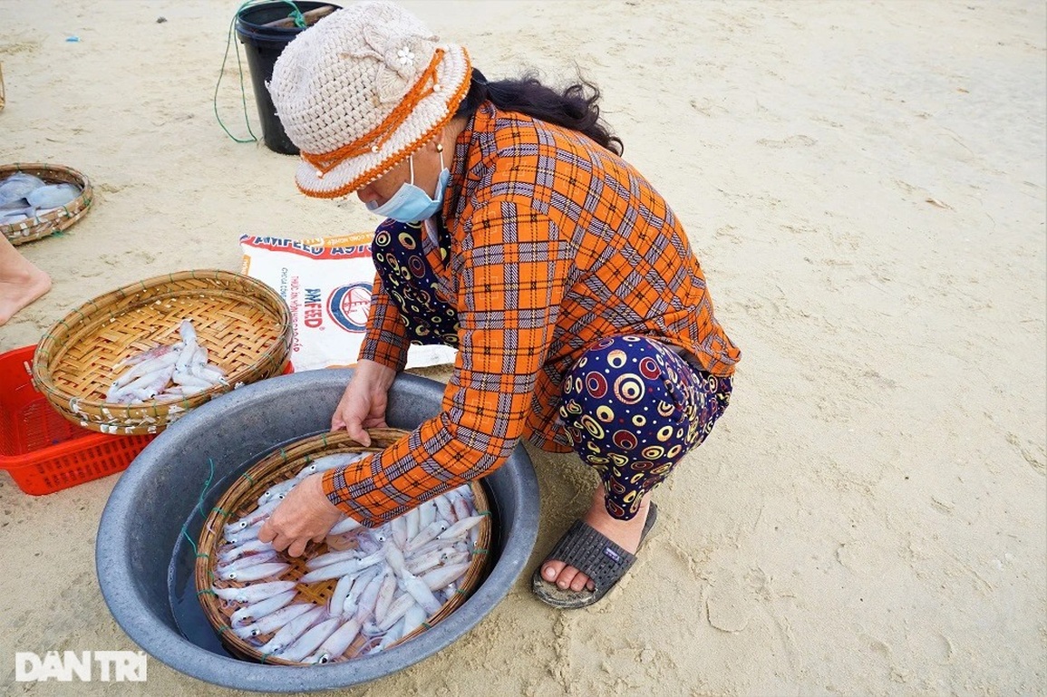 Ra khơi lấy ngày, ngư dân bất ngờ trúng đậm lộc biển - 7 Ra khơi lấy ngày, ngư dân bất ngờ trúng đậm lộc biển - 7