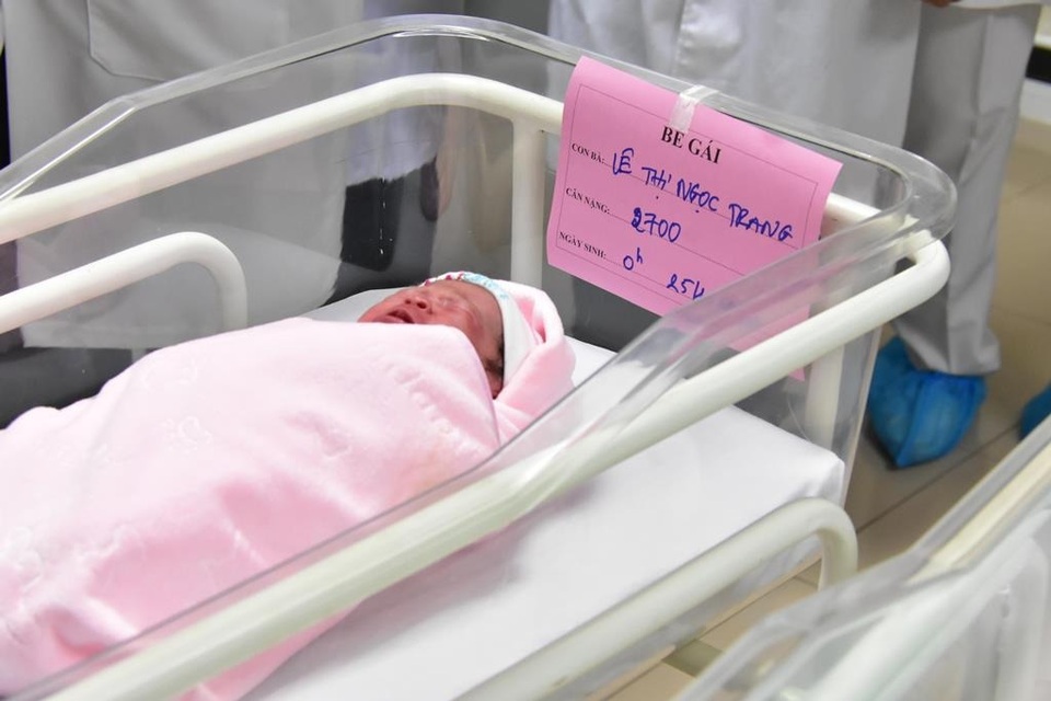 Ngắm những cô cậu chuột vàng chào đời trong thời khắc giao thừa - 11 Ngắm những cô cậu chuột vàng chào đời trong thời khắc giao thừa - 11