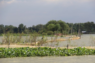 Khởi tố người dùng mái chèo đánh kiểm lâm