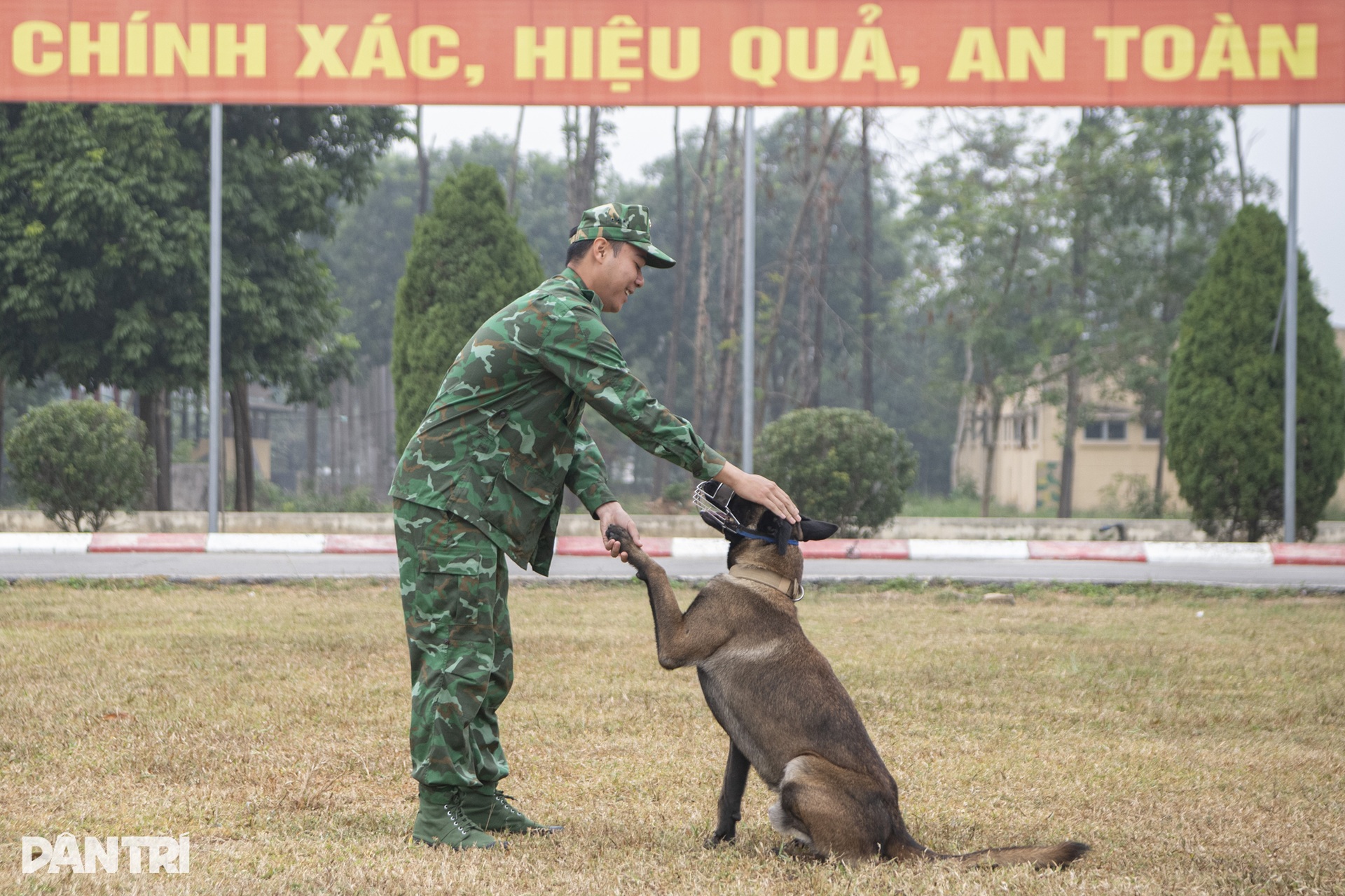 Quân khuyển trình diễn vượt vòng lửa, bắt tội phạm ở Triển lãm Quốc phòng - 4 Quân khuyển trình diễn vượt vòng lửa, bắt tội phạm ở Triển lãm Quốc phòng - 4