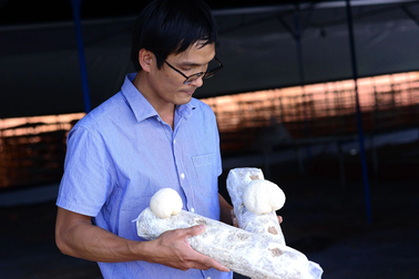 Thạc sĩ bỏ việc lương 20 triệu đồng để khởi nghiệp với cây nấm lạ