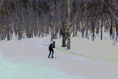 Vận động viên trượt tuyết mất mạng do đâm vào gốc cây