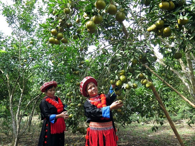 Bắc Kạn đã phát huy thế mạnh của từng địa phương trong phát triển kinh tế, xóa đói, giảm nghèo