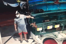 Hà Nội: Nam thanh niên trộm tôm hùm giá 9 triệu đồng, bị bảo vệ đuổi bắt