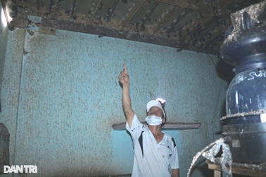 Thất bát với tiêu, liều nuôi loài chim nhả "vàng trắng", lãi tiền tỷ/tháng