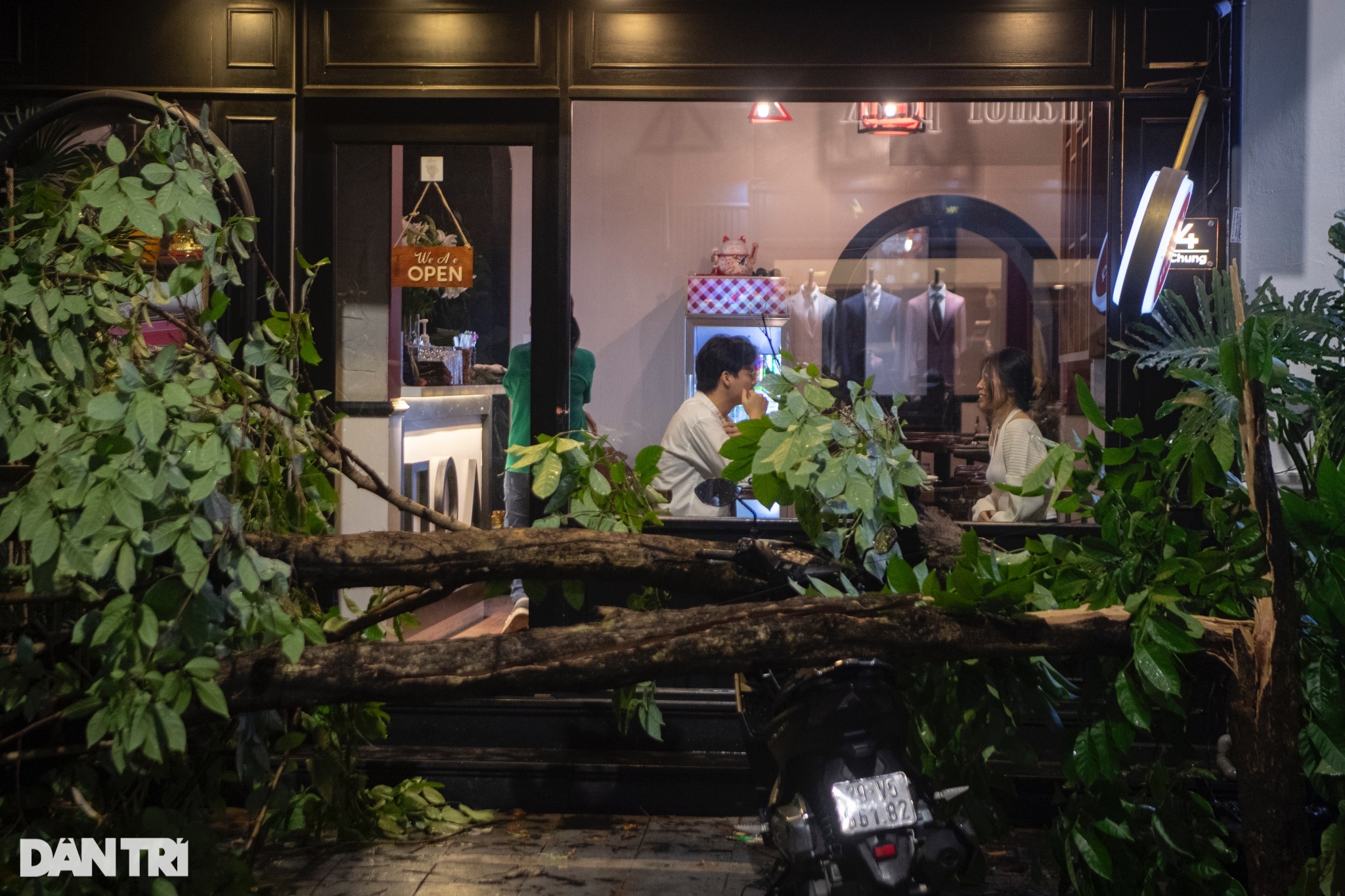 View - Hàng loạt cây xanh bật gốc, gãy cành sau cơn mưa dông lớn ở Hà Nội | Báo Dân trí