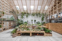 Quán cà phê như khu rừng nhiệt đới giữa lòng Hà Nội