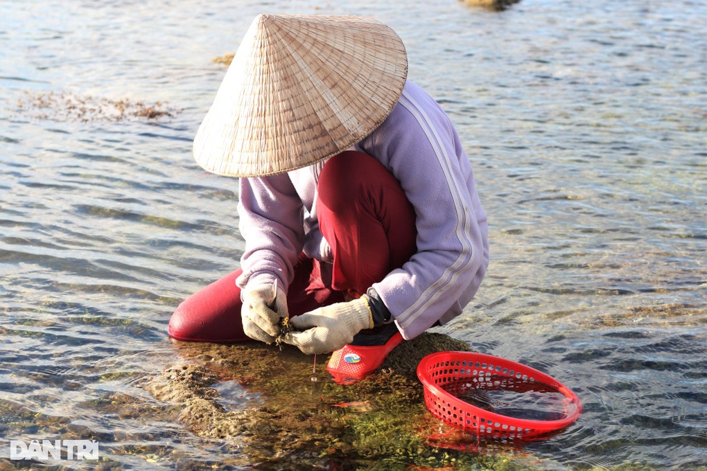 Còng lưng, khom gối cạo tiền trên ghềnh đá - 2 Còng lưng, khom gối cạo tiền trên ghềnh đá - 2