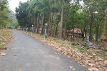 Cách hết chức vụ trong Đảng của cựu lãnh đạo Công ty Cao su Đắk Lắk