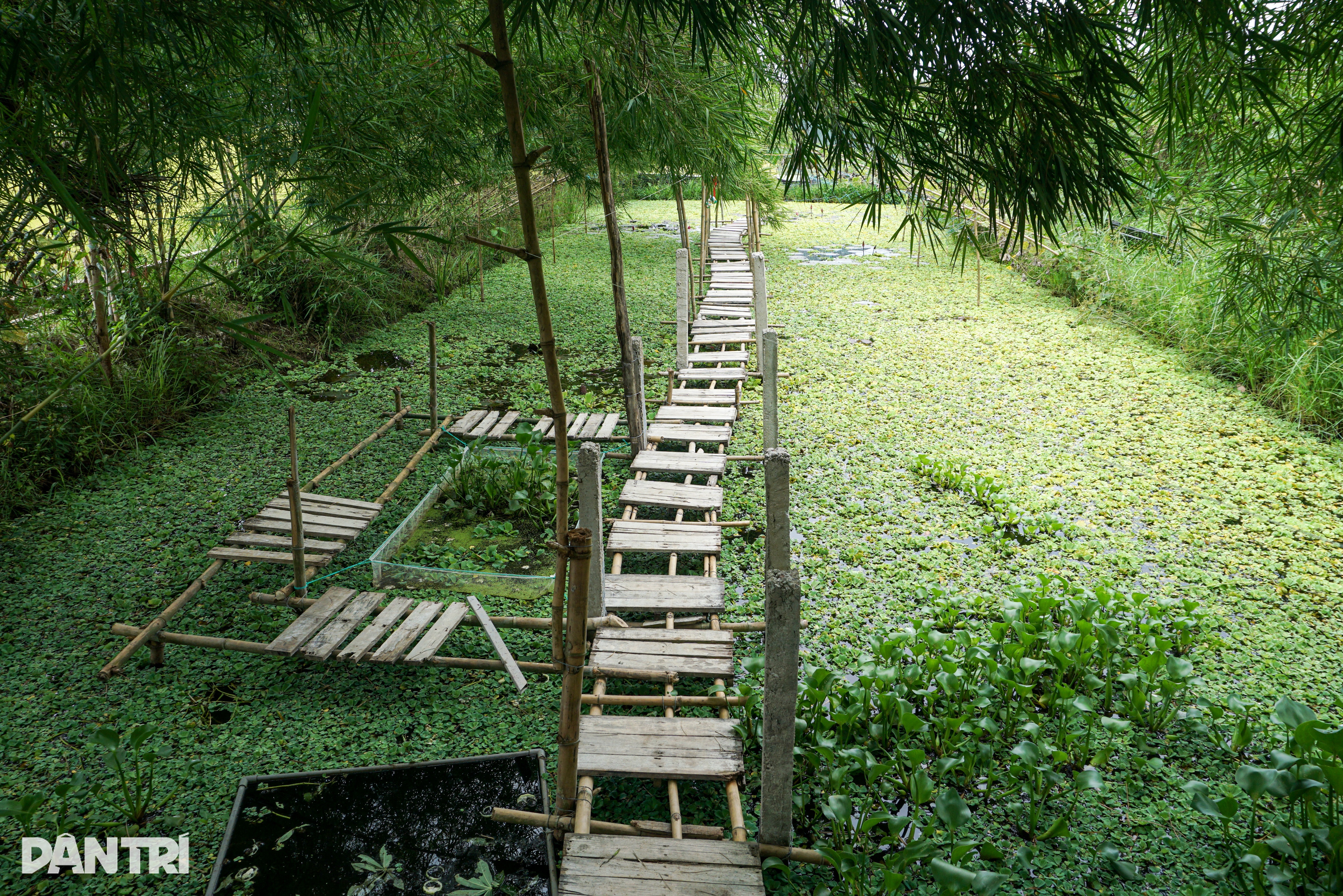 Throwing a lot of gold into the pond, initially criticized, later everyone loved it - 2 Ném cả lượng vàng xuống ao, ban đầu bị chê, sau ai cũng mê tít - 2