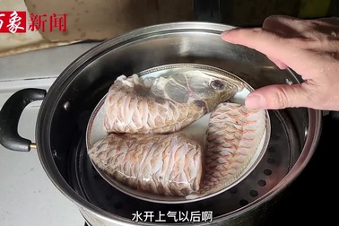 Người đàn ông chế biến cá rồng thành món ăn khiến dân mạng tranh cãi