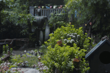 Vườn đẹp như cổ tích của con trai hiếu thảo dành tặng bố dưỡng già