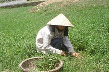 “Em muốn học Đại học nhưng gia đình quá nghèo !”