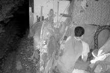 Người đàn ông liều mình vật lộn với trăn cỡ lớn để giải cứu mèo cưng